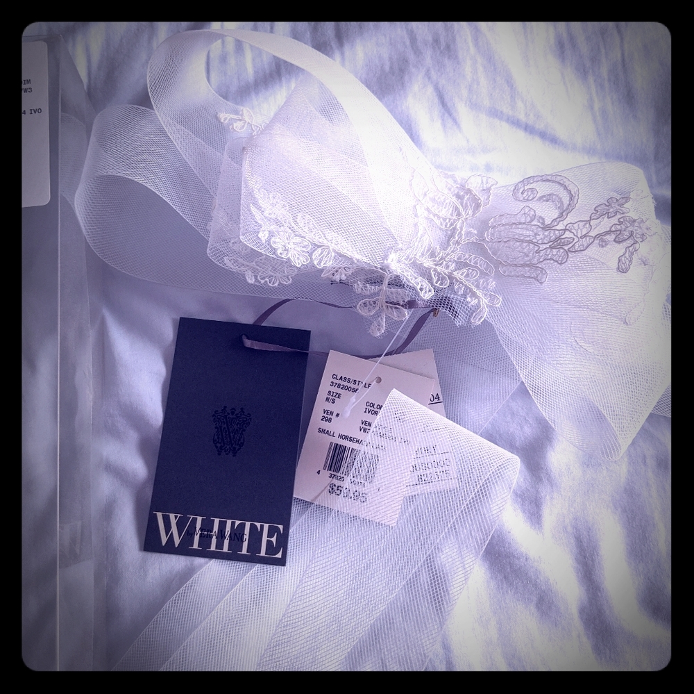 Vera Wang Horsehair Lace Sash - Ivory